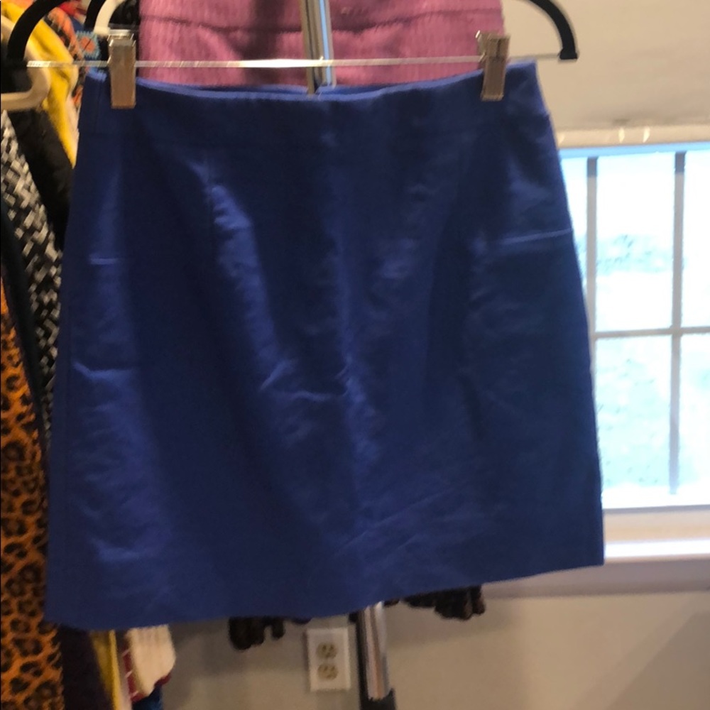 J Crew skirt